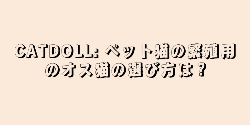 CATDOLL: ペット猫の繁殖用のオス猫の選び方は？