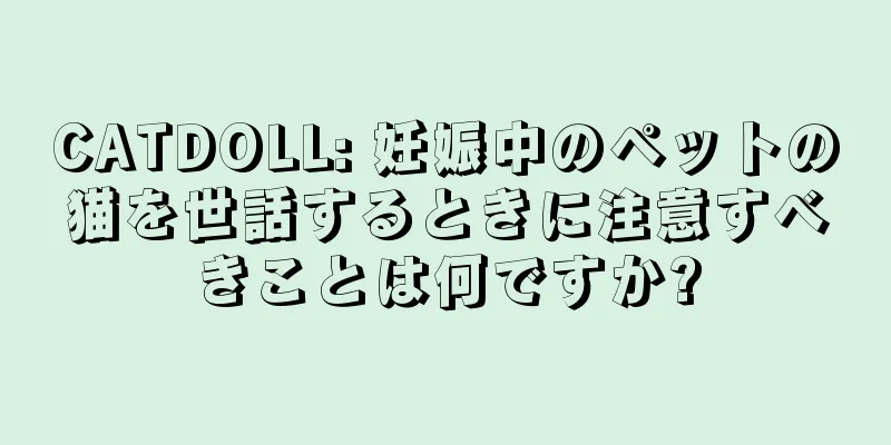 CATDOLL: 妊娠中のペットの猫を世話するときに注意すべきことは何ですか?