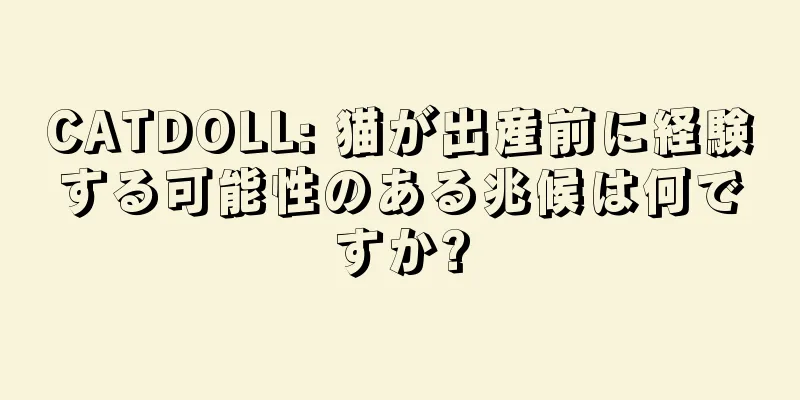 CATDOLL: 猫が出産前に経験する可能性のある兆候は何ですか?