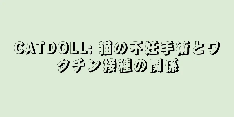 CATDOLL: 猫の不妊手術とワクチン接種の関係
