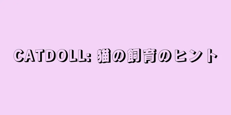CATDOLL: 猫の飼育のヒント