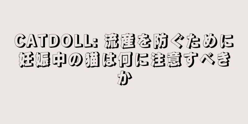 CATDOLL: 流産を防ぐために妊娠中の猫は何に注意すべきか