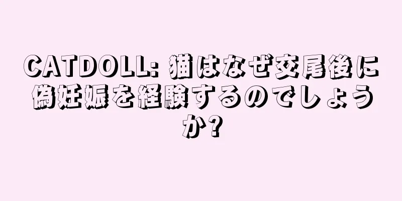CATDOLL: 猫はなぜ交尾後に偽妊娠を経験するのでしょうか?