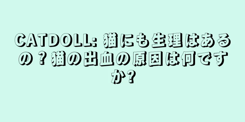 CATDOLL: 猫にも生理はあるの？猫の出血の原因は何ですか?