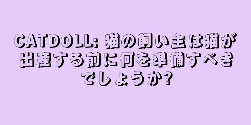 CATDOLL: 猫の飼い主は猫が出産する前に何を準備すべきでしょうか?