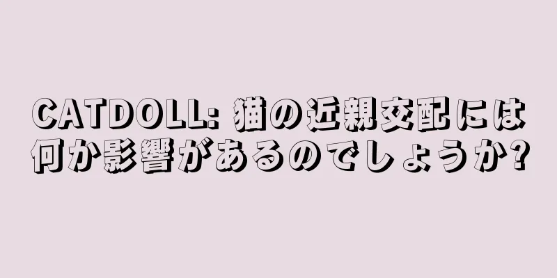 CATDOLL: 猫の近親交配には何か影響があるのでしょうか?
