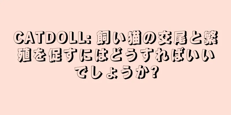 CATDOLL: 飼い猫の交尾と繁殖を促すにはどうすればいいでしょうか?