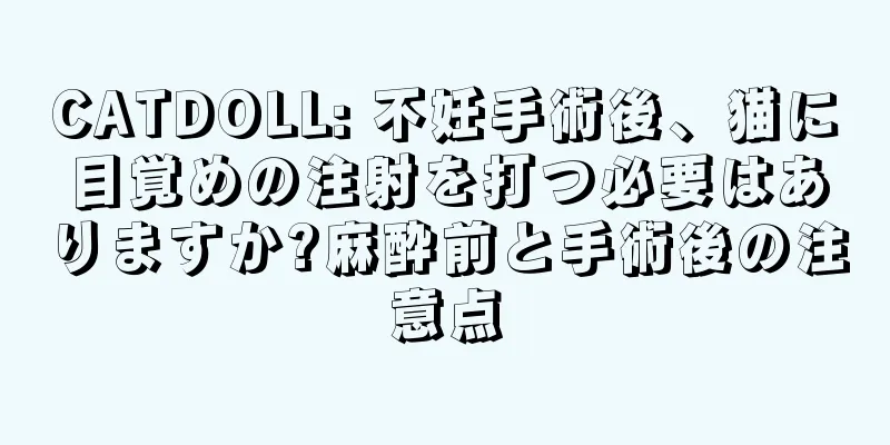 CATDOLL: 不妊手術後、猫に目覚めの注射を打つ必要はありますか?麻酔前と手術後の注意点