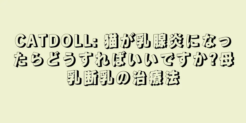 CATDOLL: 猫が乳腺炎になったらどうすればいいですか?母乳断乳の治療法