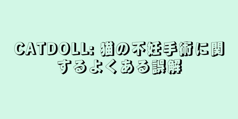 CATDOLL: 猫の不妊手術に関するよくある誤解