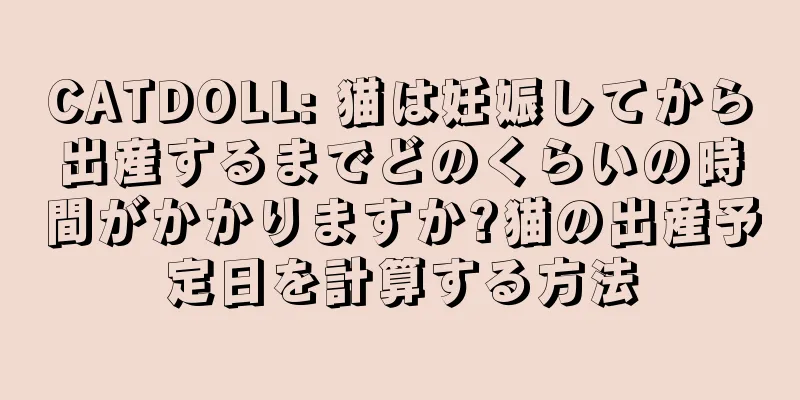 CATDOLL: 猫は妊娠してから出産するまでどのくらいの時間がかかりますか?猫の出産予定日を計算する方法
