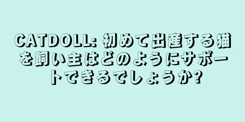 CATDOLL: 初めて出産する猫を飼い主はどのようにサポートできるでしょうか?