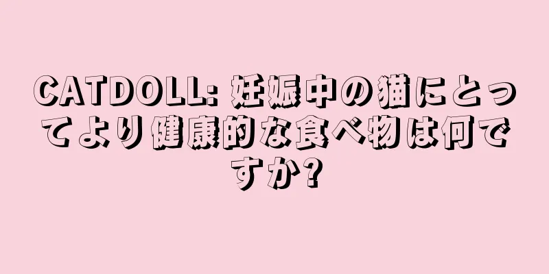 CATDOLL: 妊娠中の猫にとってより健康的な食べ物は何ですか?