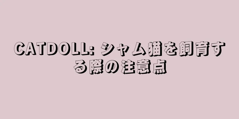 CATDOLL: シャム猫を飼育する際の注意点