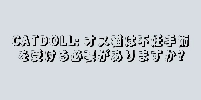 CATDOLL: オス猫は不妊手術を受ける必要がありますか?