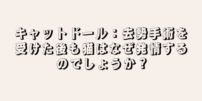 キャットドール：去勢手術を受けた後も猫はなぜ発情するのでしょうか？