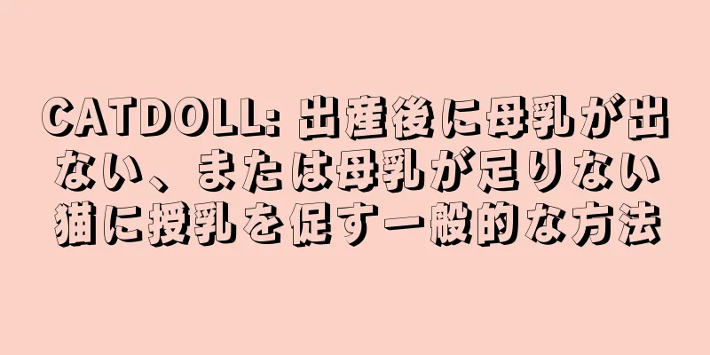 CATDOLL: 出産後に母乳が出ない、または母乳が足りない猫に授乳を促す一般的な方法