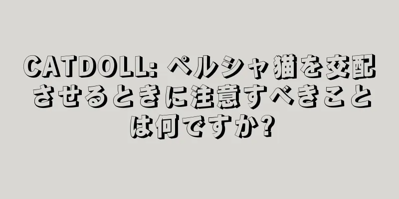 CATDOLL: ペルシャ猫を交配させるときに注意すべきことは何ですか?