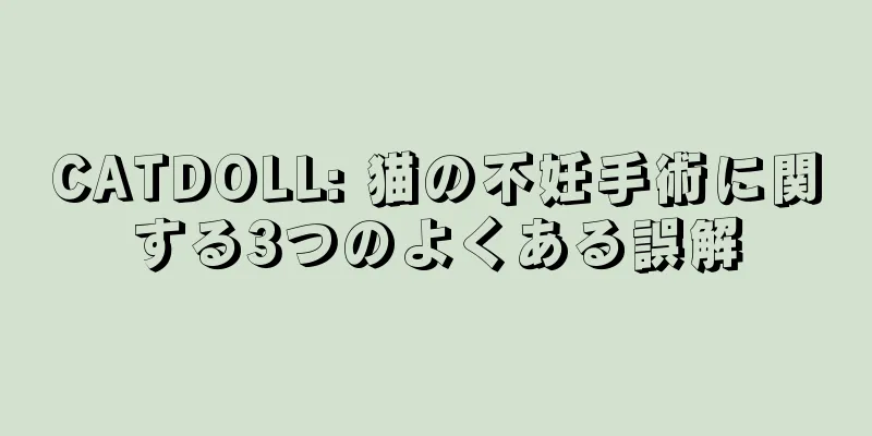 CATDOLL: 猫の不妊手術に関する3つのよくある誤解