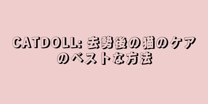 CATDOLL: 去勢後の猫のケアのベストな方法