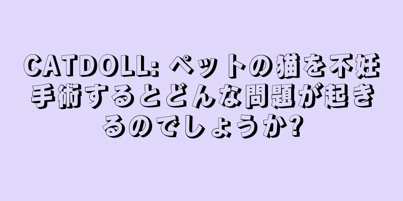 CATDOLL: ペットの猫を不妊手術するとどんな問題が起きるのでしょうか?