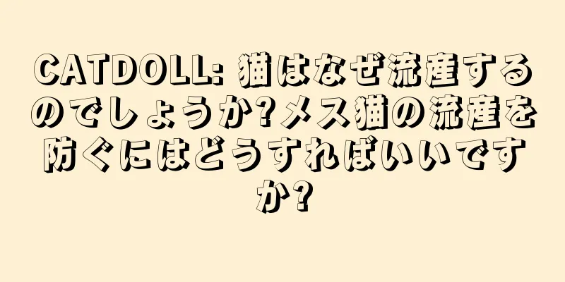 CATDOLL: 猫はなぜ流産するのでしょうか?メス猫の流産を防ぐにはどうすればいいですか?