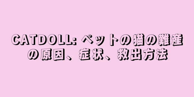 CATDOLL: ペットの猫の難産の原因、症状、救出方法