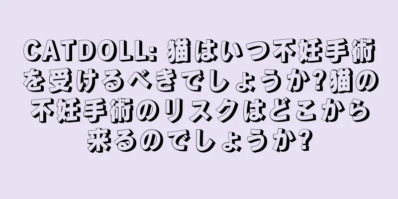 CATDOLL: 猫はいつ不妊手術を受けるべきでしょうか?猫の不妊手術のリスクはどこから来るのでしょうか?
