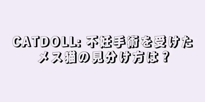 CATDOLL: 不妊手術を受けたメス猫の見分け方は？