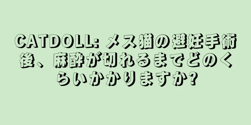 CATDOLL: メス猫の避妊手術後、麻酔が切れるまでどのくらいかかりますか?