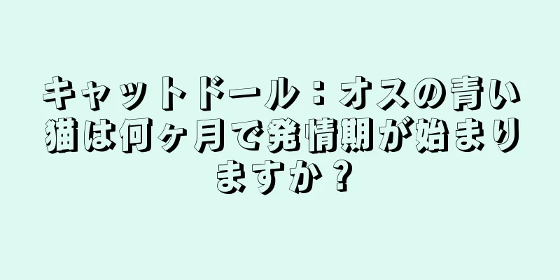 キャットドール：オスの青い猫は何ヶ月で発情期が始まりますか？