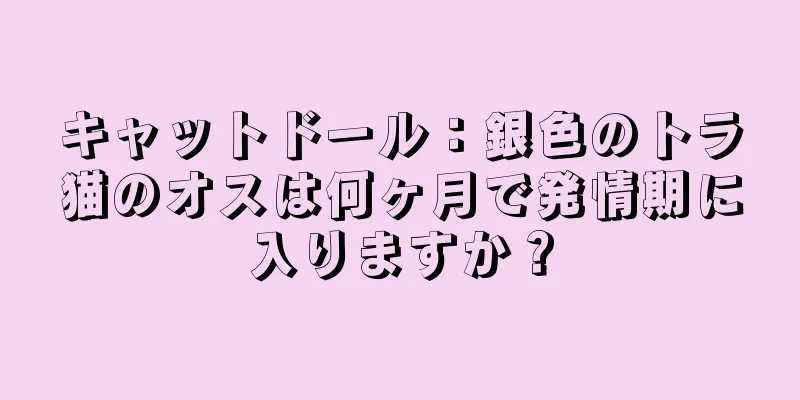 キャットドール：銀色のトラ猫のオスは何ヶ月で発情期に入りますか？