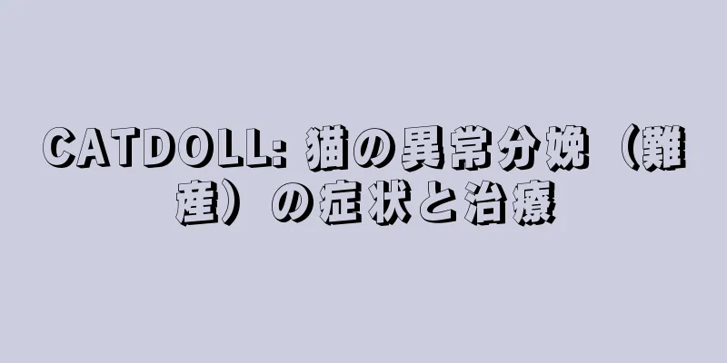 CATDOLL: 猫の異常分娩（難産）の症状と治療