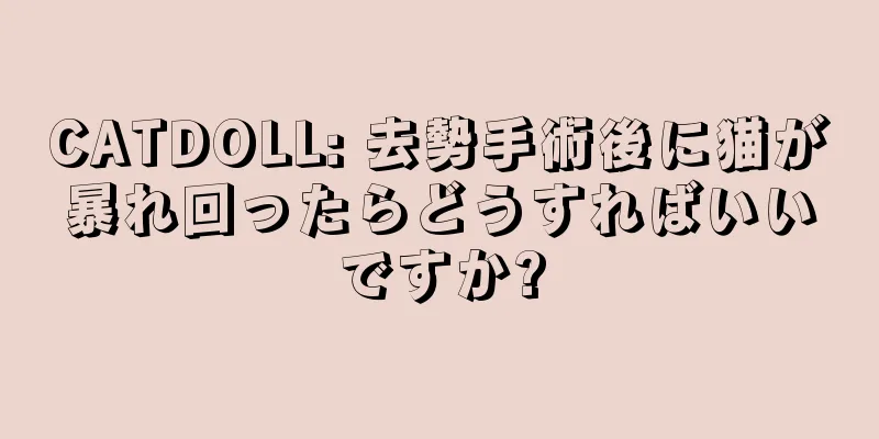 CATDOLL: 去勢手術後に猫が暴れ回ったらどうすればいいですか?