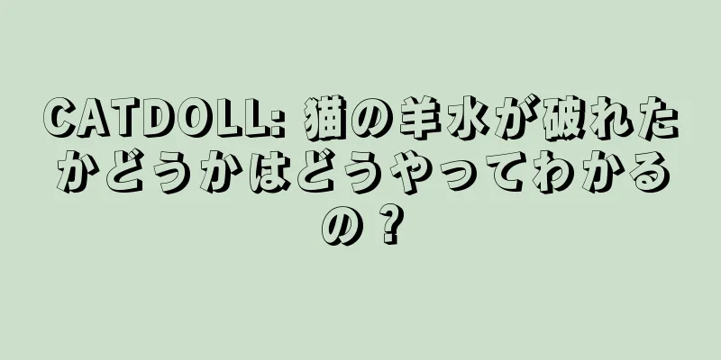CATDOLL: 猫の羊水が破れたかどうかはどうやってわかるの？