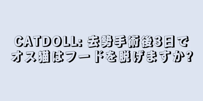 CATDOLL: 去勢手術後3日でオス猫はフードを脱げますか?