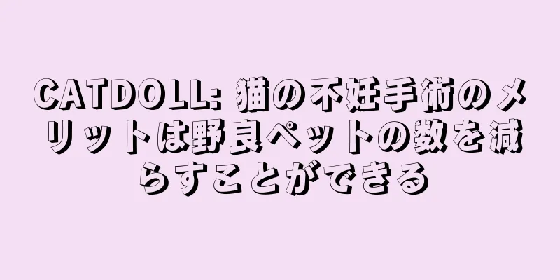 CATDOLL: 猫の不妊手術のメリットは野良ペットの数を減らすことができる