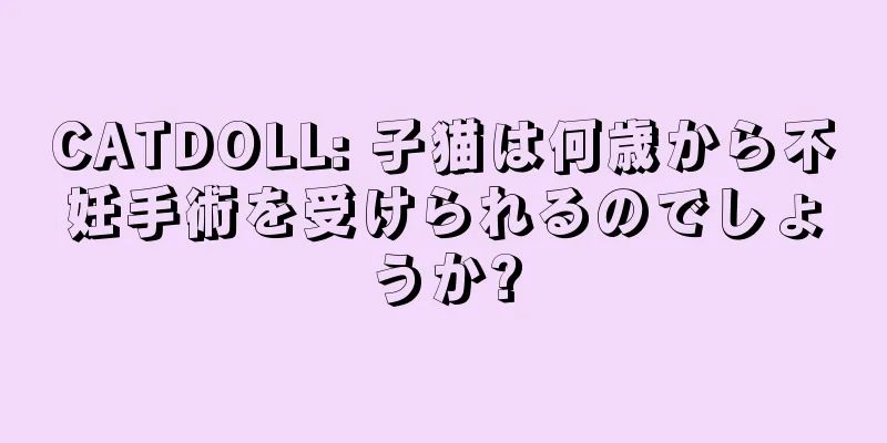 CATDOLL: 子猫は何歳から不妊手術を受けられるのでしょうか?