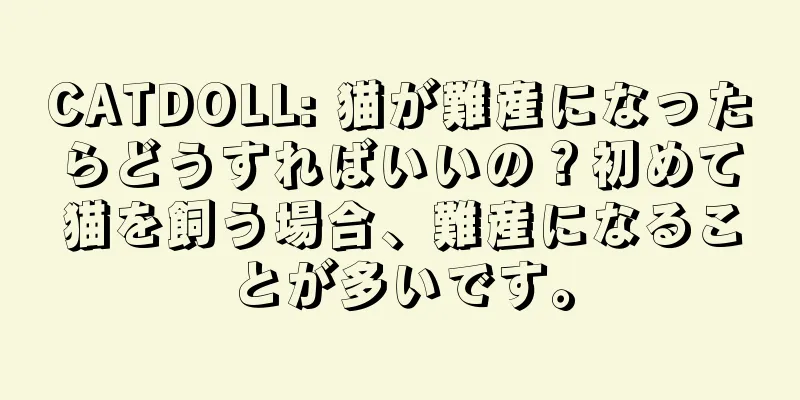 CATDOLL: 猫が難産になったらどうすればいいの？初めて猫を飼う場合、難産になることが多いです。