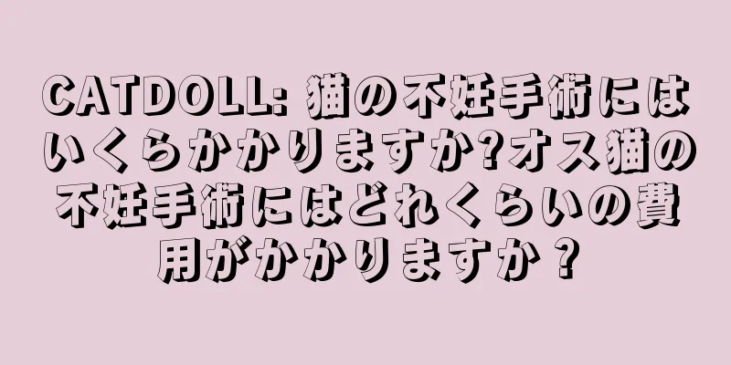 CATDOLL: 猫の不妊手術にはいくらかかりますか?オス猫の不妊手術にはどれくらいの費用がかかりますか？