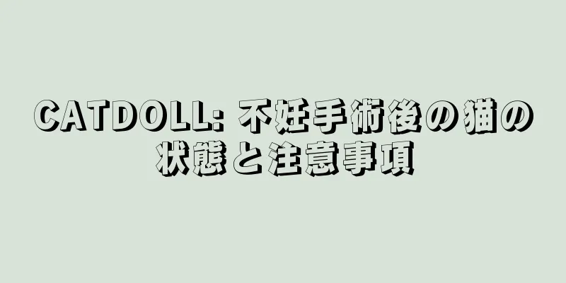 CATDOLL: 不妊手術後の猫の状態と注意事項