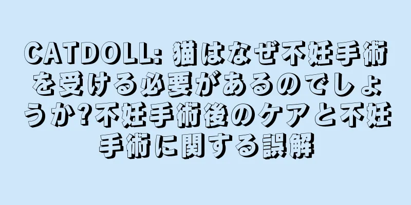 CATDOLL: 猫はなぜ不妊手術を受ける必要があるのでしょうか?不妊手術後のケアと不妊手術に関する誤解