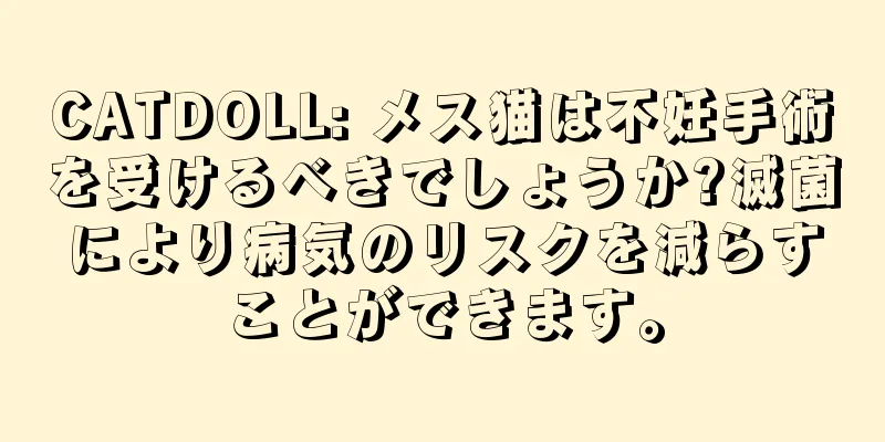 CATDOLL: メス猫は不妊手術を受けるべきでしょうか?滅菌により病気のリスクを減らすことができます。