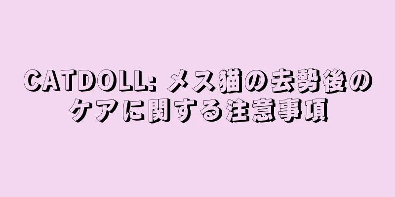 CATDOLL: メス猫の去勢後のケアに関する注意事項