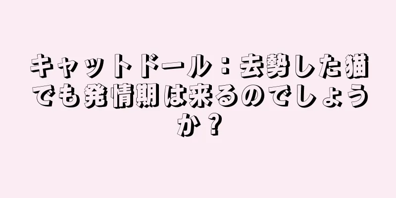 キャットドール：去勢した猫でも発情期は来るのでしょうか？
