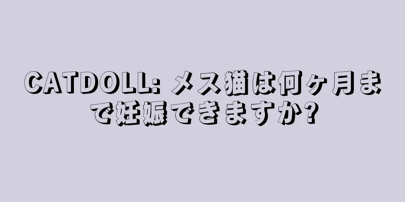 CATDOLL: メス猫は何ヶ月まで妊娠できますか?