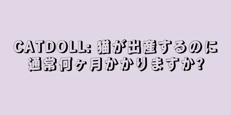 CATDOLL: 猫が出産するのに通常何ヶ月かかりますか?