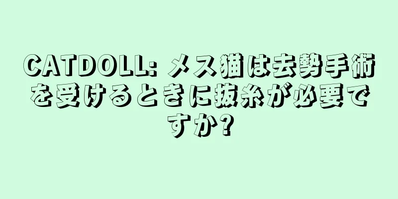 CATDOLL: メス猫は去勢手術を受けるときに抜糸が必要ですか?
