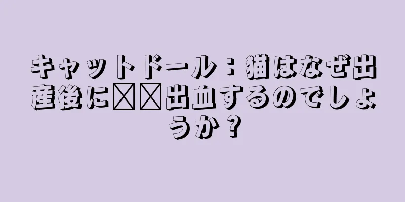 キャットドール：猫はなぜ出産後に​​出血するのでしょうか？