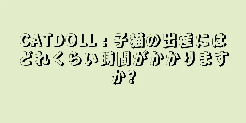 CATDOLL : 子猫の出産にはどれくらい時間がかかりますか?